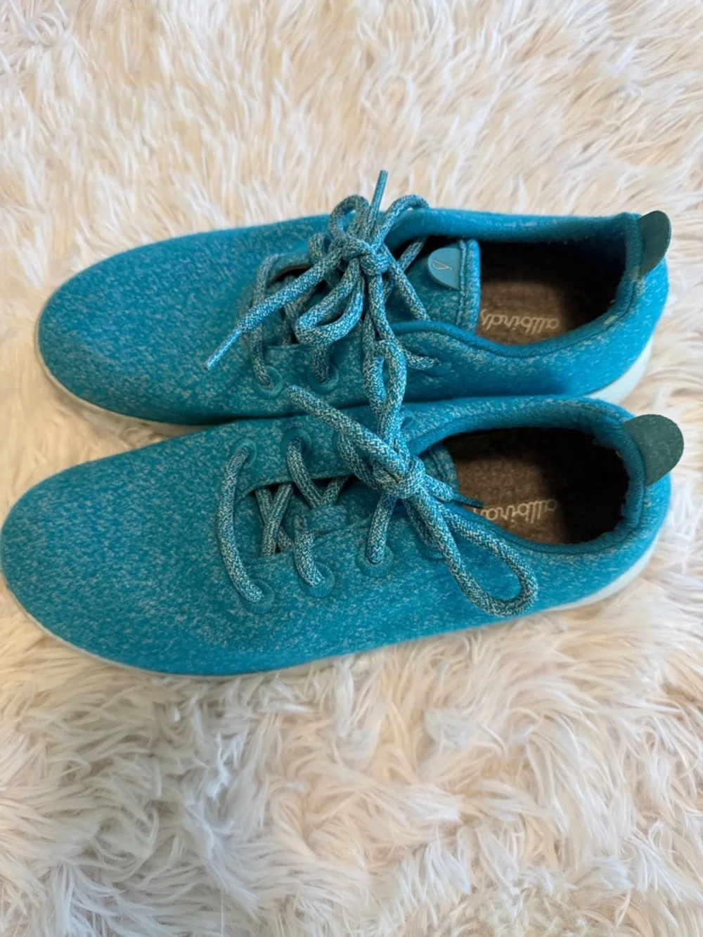 Allbirds Wool Runners in Thrive Teal (Clarity Blue Sole) 9